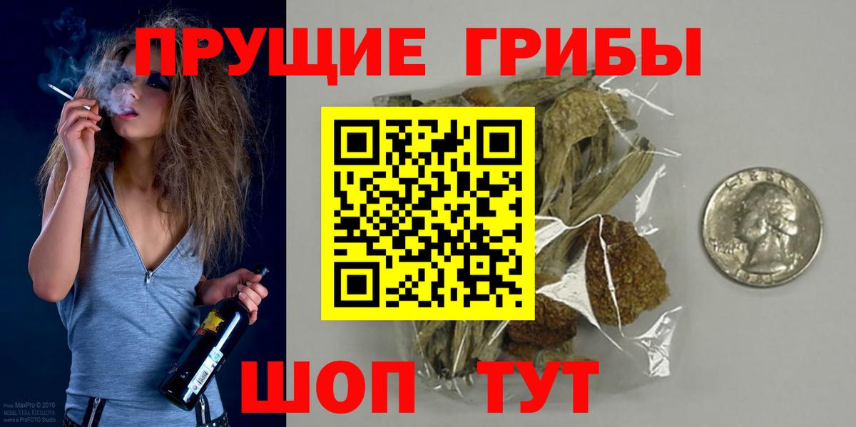 Галлюциногенные грибы Psilocybe  Вход с VPN  Гусь-Хрустальный 